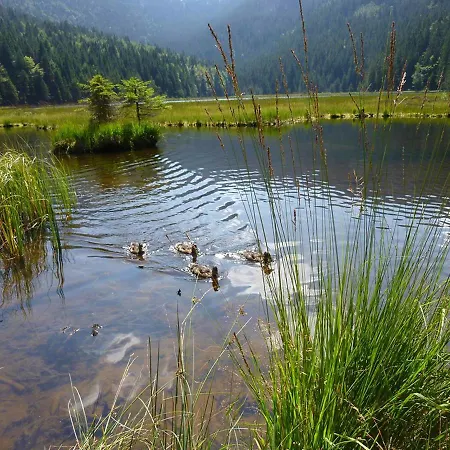 Hornauer Сasa de vacaciones
