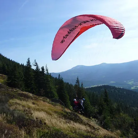 Hornauer * Obertraubenbach