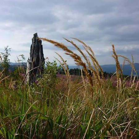 Dom wakacyjny Hornauer Obertraubenbach