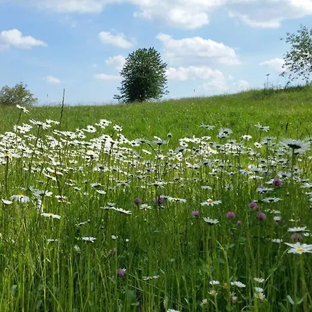 Hornauer Obertraubenbach