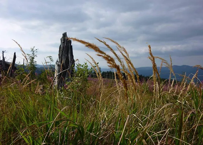Semesterbostad Hornauer Obertraubenbach