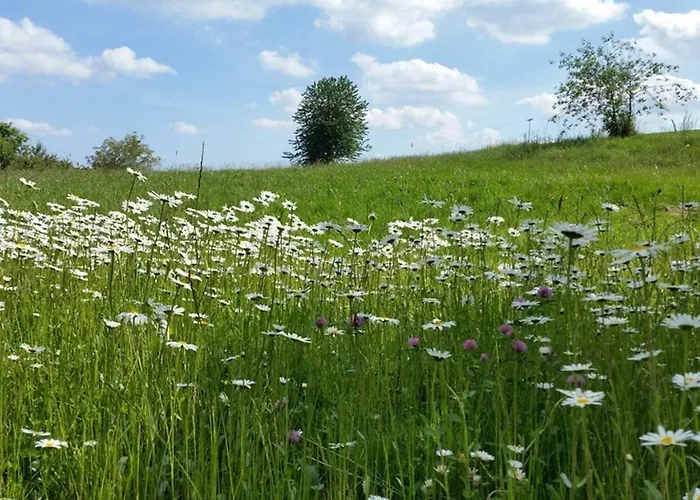 Hornauer Obertraubenbach